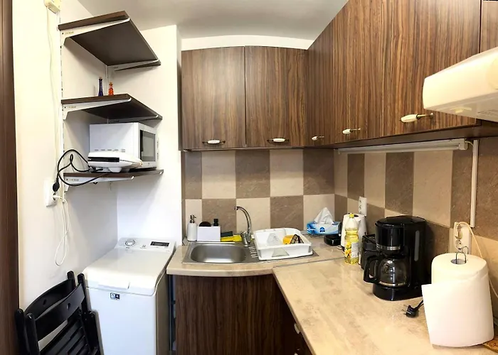 Victoriei - Location With Ac Appartement Bucarest