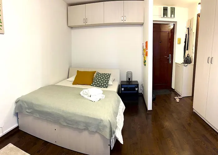 Apartament Victoriei - Location With Ac *